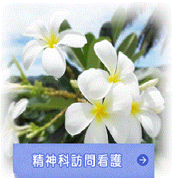 精神科在宅訪問支援（ACTプログラム）